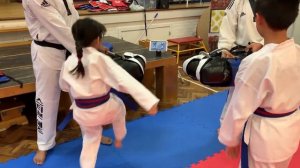 Zemita electronic Taekwondo body protector review