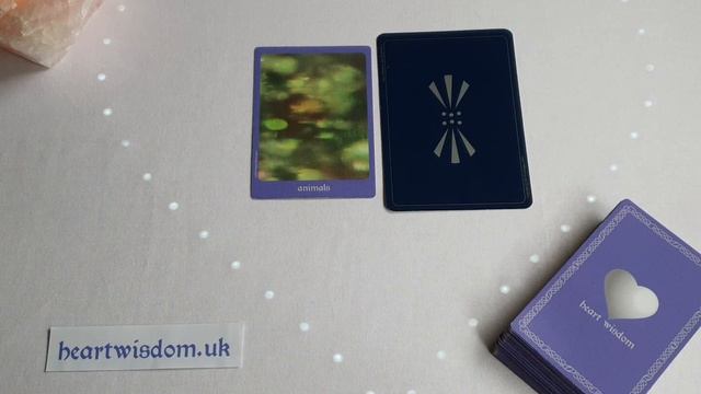 Oracle Message - Tuesday 6th September 2022 смотреть онлайн