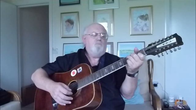 12-string Guitar: Catch The Wind (Including lyrics and chords) смотреть онлайн