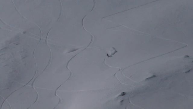 tissi_hasler.mov смотреть онлайн