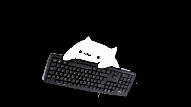 Bongo cat program Python and go trance! смотреть онлайн