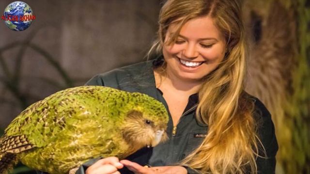 Dünyanın En Şişman ve Uçamayan Tek Papağan Türü Kakapo смотреть онлайн