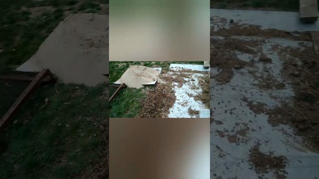 Копка ямки для посадки взрослого винограда!2020 смотреть онлайн