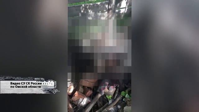 Следователи, полицейские и волонтеры продолжают поиски пропавших потерпевших смотреть онлайн