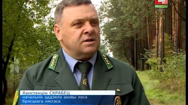 АХОВА ДАЧ І ЛЯСОЎ (Відэа)