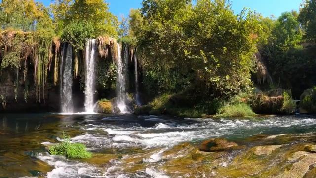 Шум водопада, Пение птиц ?, Звуки природы, Relaxing sounds, Music of nature смотреть онлайн