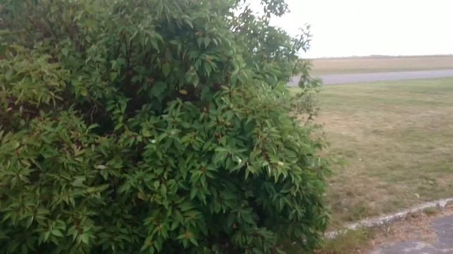 samolot dromader смотреть онлайн