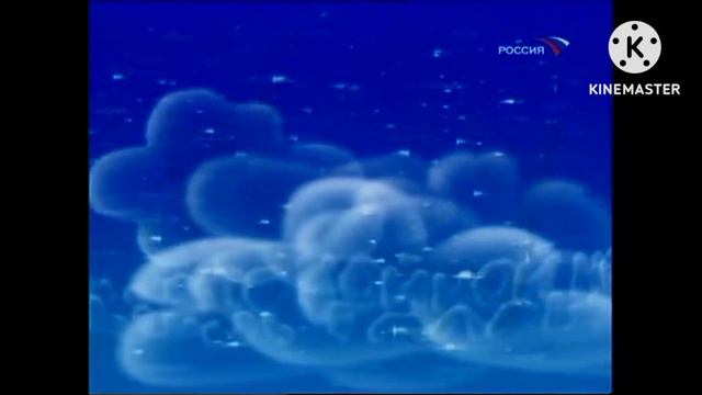 Спокойной ночи малыши 2023 Году