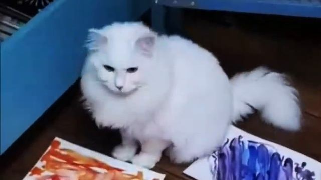 Гармония родственных цветов. Теория и практика. Цветовоедение. смотреть онлайн