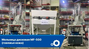 Промышленная мельница MF-500 | запуск на говяжья кожа