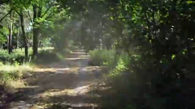 Forst Zinna.Форст Цинна.4.