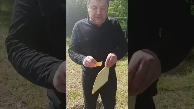Защита молодых саженцев от муравьев, жуков, тли и прочих вредителей. смотреть онлайн