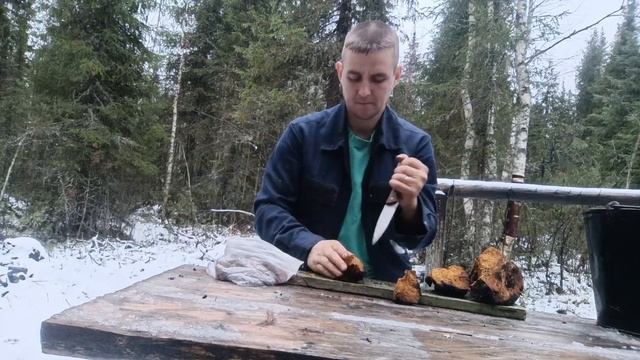 разделка и сушка чаги смотреть онлайн