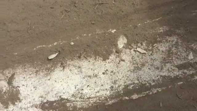 Разметка велодорожки нанесена прямо на грязь 2 смотреть онлайн