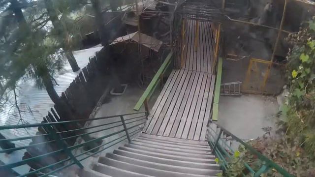 Контактный зоопарк «Зов Джунглей» г. Геленджик смотреть онлайн