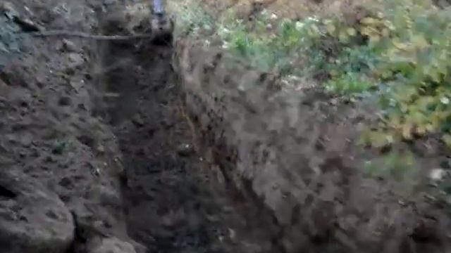 днт Сад помогает людям реальными делами.ч1 смотреть онлайн