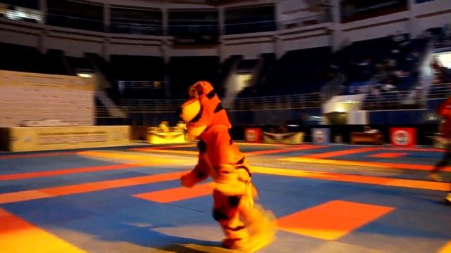 Тольятти Кубок дружбы 2019 смотреть онлайн