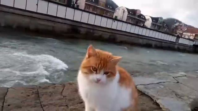 Ольгинка. Туапсинский район. Прогулка вдоль реки Ту смотреть онлайн