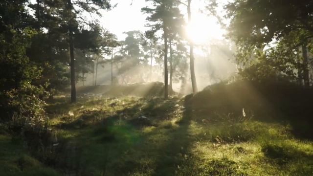 Хорошая музыка для пробуждения по утрам и поднятия настроения смотреть онлайн