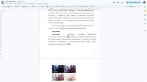 Как оформлять текст проектной работы