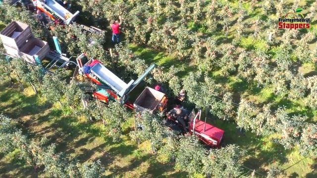 Jonagored Harvest 2020 | The overloaded apple trees смотреть онлайн