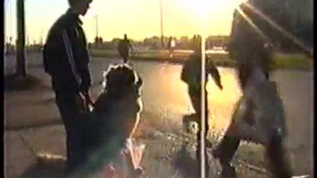 Дрессировка кавказкой овчарки в Казани ."ОКД". смотреть онлайн