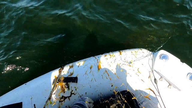 Aksi island. Fishing. Part 4. Turbot netting. смотреть онлайн