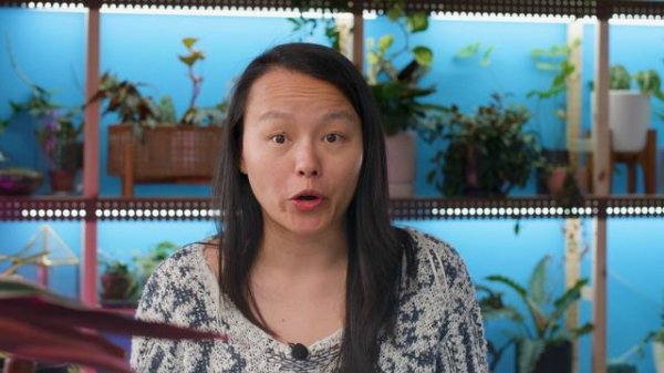 BEST PLANT for Foliage Lovers 💚 Care + Repot