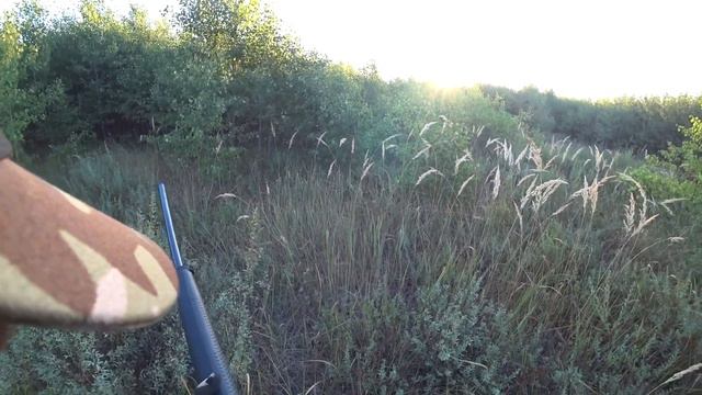 Куропатка (архив) смотреть онлайн