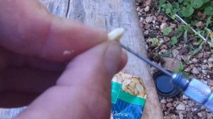 Фидерная ловля крупного леща на пуфик ( воздушное тесто ) Лещи кабаны гнут фидер в воду..