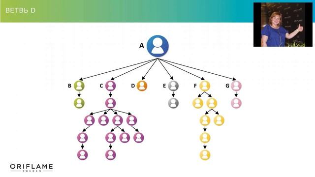 Школа менеджеров .Урок 4.Построение структур.