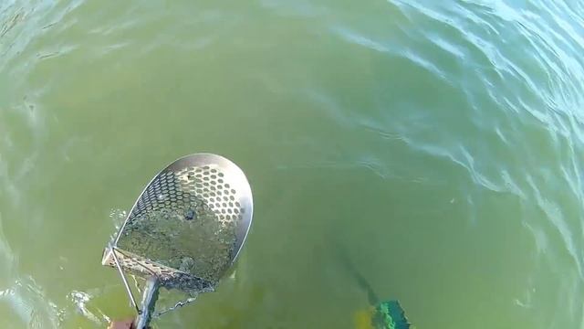 Это был ШОК когда вышел из моря!Куда же делось ЗОЛОТО что я нашёл?Подводный поиск с металлоискателе смотреть онлайн