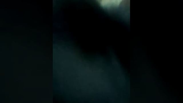 Кролик лизун!;) смотреть онлайн