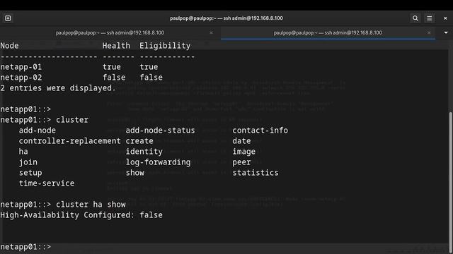 NetApp: Unjoin or remove a node from the NetApp cluster смотреть онлайн