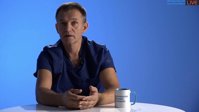 Делай То, Что Дарит Счастье