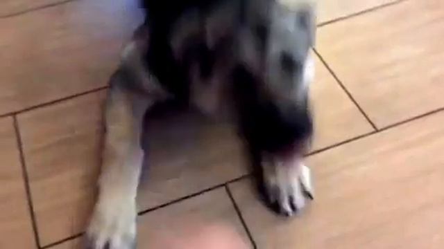 Веолар Золтон 4 месяца