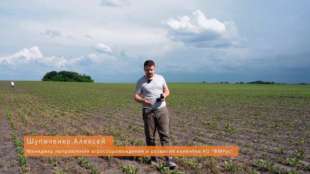 Часть 2 / Схема защиты сахарной свеклы в Курской области смотреть онлайн