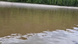 УДАЛЕНИЕ МОКРОЙ ПЕНЫ.   ALUMACRAFT ремонт  и доработки,  клепаная лодка.