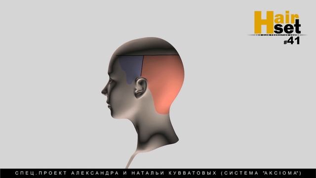 HAIR SET #41 (виды растяжек цвета, женская стрижка - RU, ES, ENG) смотреть онлайн