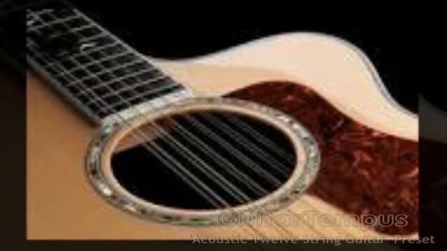 Virtual 12 String Acoustic Guitar by GuitarTempus VST VST3 Audio Unit EXS24 KONTAKT смотреть онлайн