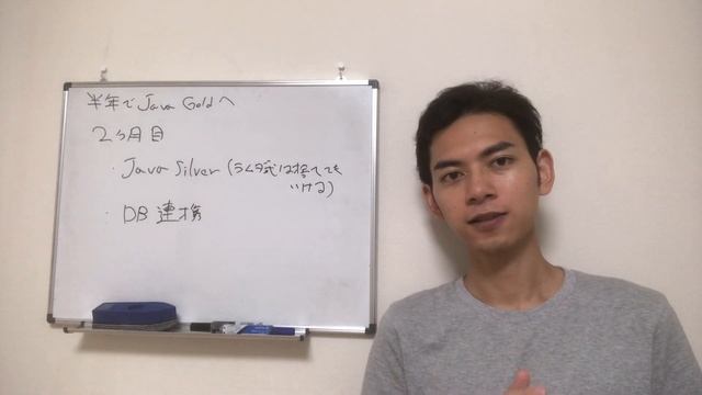 Java Gold に初学者から半年で合格するロードマップ смотреть онлайн