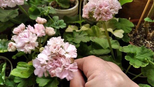 6 августа 2021 г. смотреть онлайн