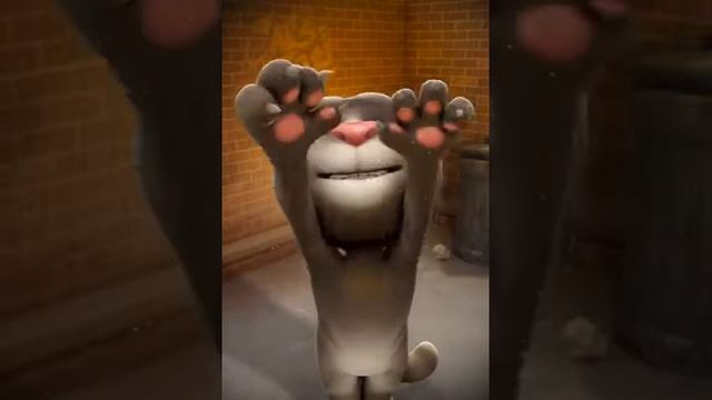 Пушистые Герои Дня