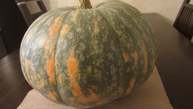 Тыква Лечебная. Описание сорта и агротехника. смотреть онлайн