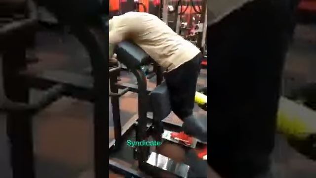 Standing Leg Curl Machine || Best Gym equipments смотреть онлайн