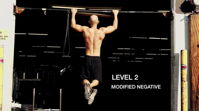 REGULAR PULL-UPS смотреть онлайн
