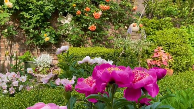 Glorious Rose, Peony and Herb in the Garden 2022 смотреть онлайн