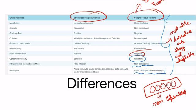 Streptococcus pneumonia vs streptococcus viridans смотреть онлайн