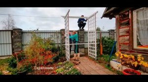 Установили перголу при входе для плетущихся роз / октябрь 2020