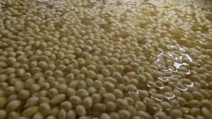 Китай на кончике языка II-05